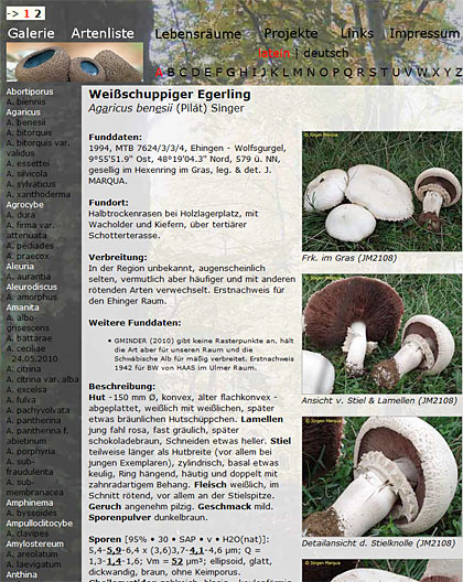 pilzflora03.jpg pilzflora03.jpg